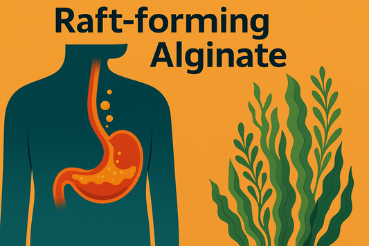 Raft-Forming Alginate: Mechanism, Safety & Best Use