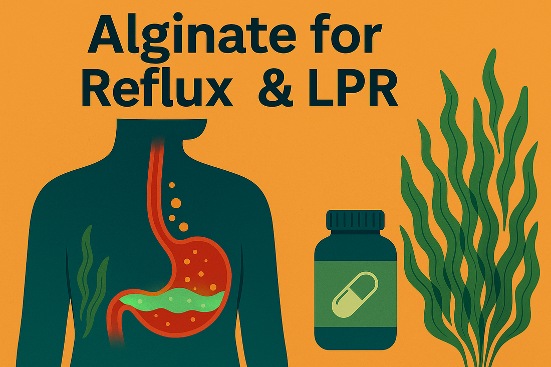 Alginate for Reflux & LPR: How It Works, Safety, Use